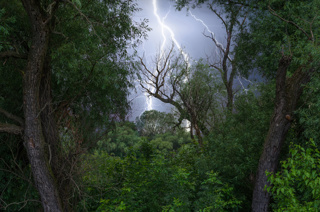 Thunder, lightnings and rain during storm over forest.