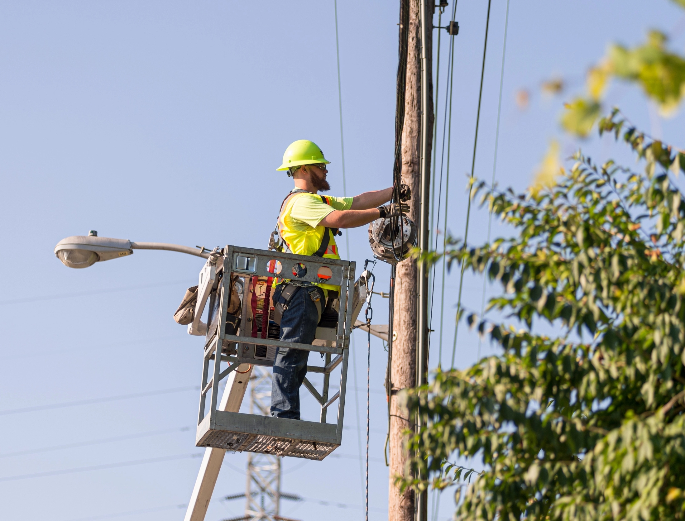 utility vegetation management software