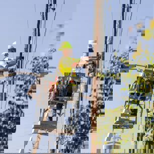 utility vegetation management software