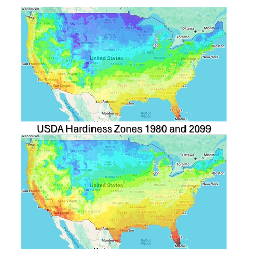 Advanced Geographic Analysis
