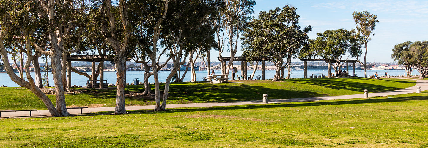 Urban & Community Forestry Services in Southern California | Davey Tree