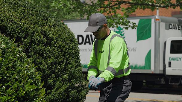 Commercial Case Study Port Warwick Conservancy Sideimage2 608X341