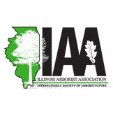 Iaa