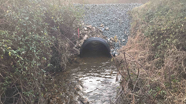 Utility Css Northeast Us Utility Baltimore Gas Electric Sideimage6 608X341