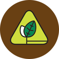 Icon Safebusinesspractices