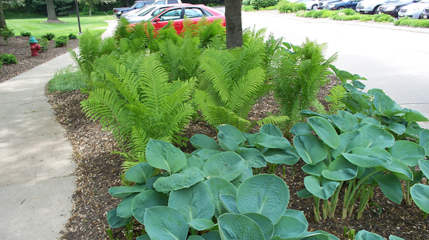 Commercial Blog How To Improve Your Business Curb Appeal With Landscape Enhancements Sideimage9 608X341