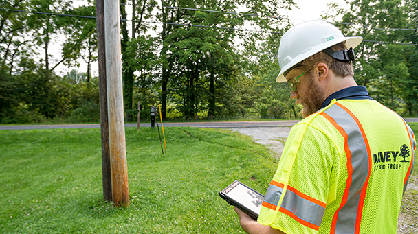 DUS_Bryan Texas Utilities_AM_1121 Davey Tree