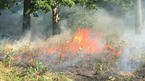 Project Profiles Ft Sheridan Sideimage 5 608X341