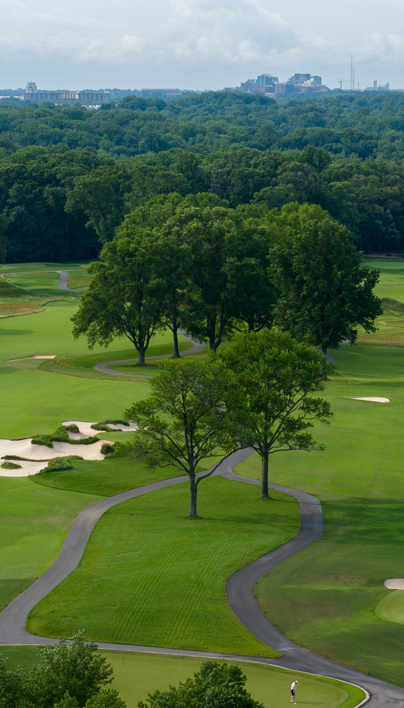 Davey Woodmont CC Drone 31