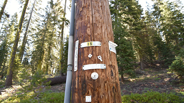 Utility Css Pget Sideimage 608X341