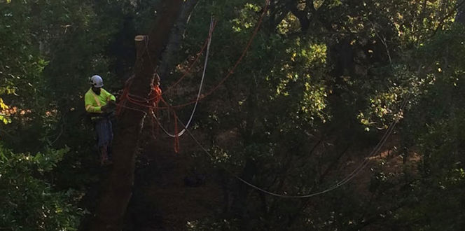 Access Roads Bannerjpg