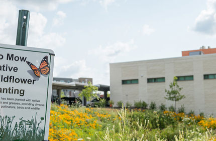 Benefits Of A Sustainable Landscape Banner