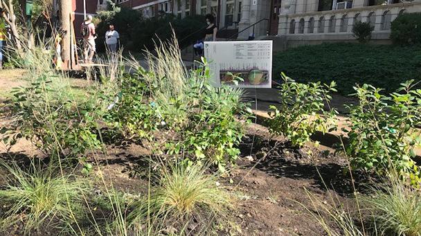 Project Profile Rain Garden Installation Sideimage 608X341