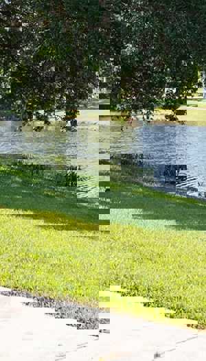 Tree Inventory Tool For Parks | TreeKeeper Tree Inventory | Davey Tree