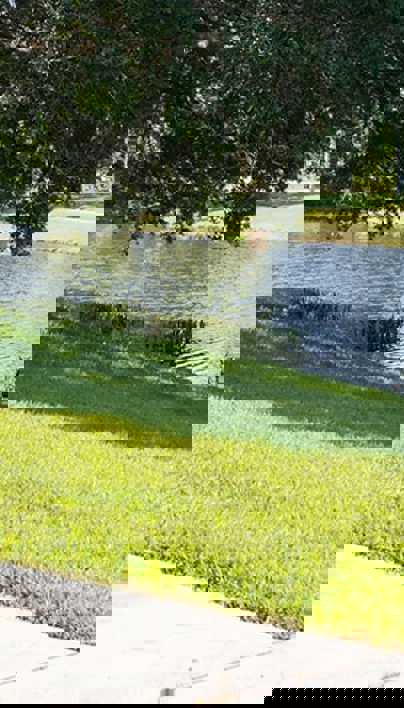 Tree Inventory Tool For Parks | TreeKeeper Tree Inventory | Davey Tree