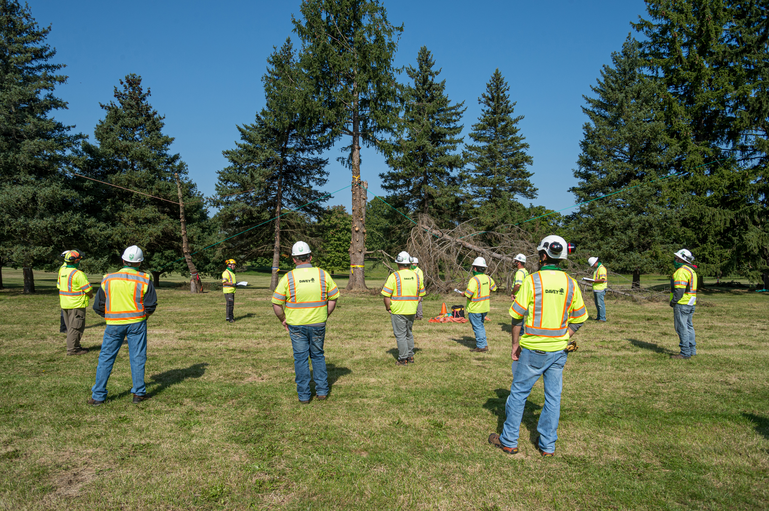 Skills Training Davey Tree