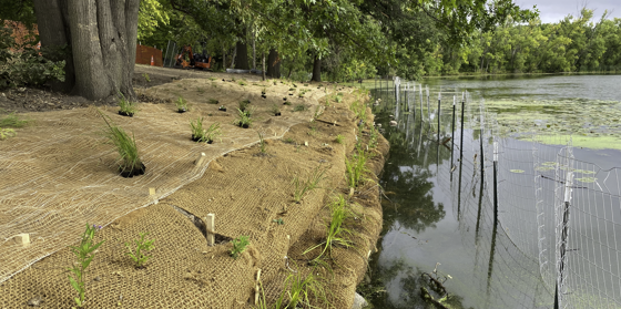 Wetland & Stream Services | Davey Resource Group | Davey Tree