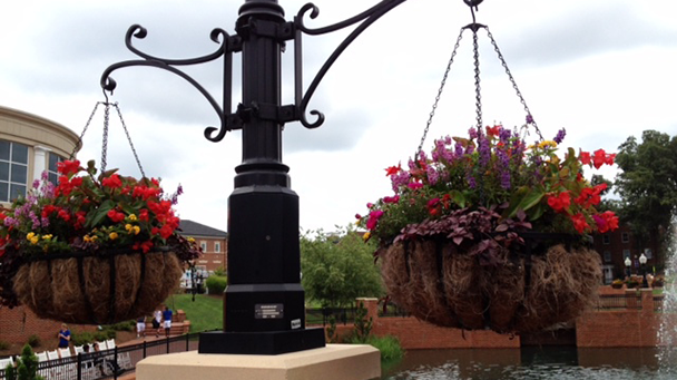 Commercial Blog How To Improve Your Business Curb Appeal With Landscape Enhancements Sideimage7 608X341