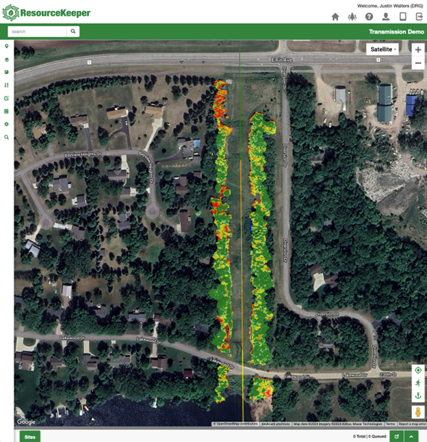 Wild Rice Electric 1