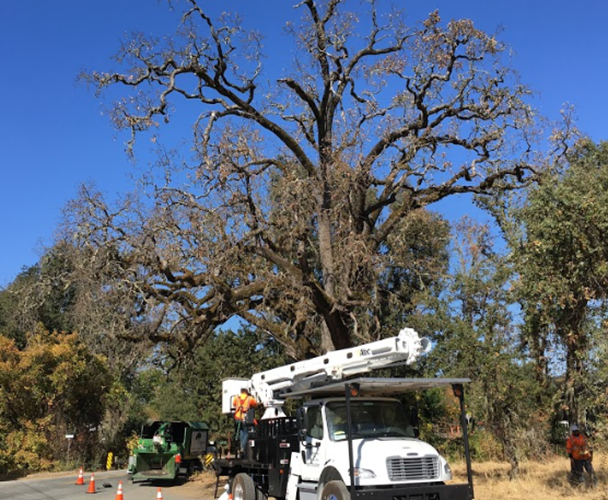 Christina Brassey Css 6