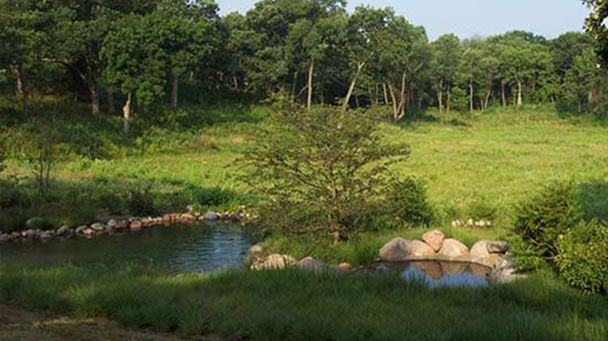 Project Profiles Woodstock Sideimage 608X341