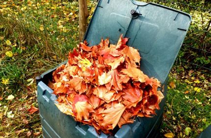 Compost Leaves Davey Tree (1)