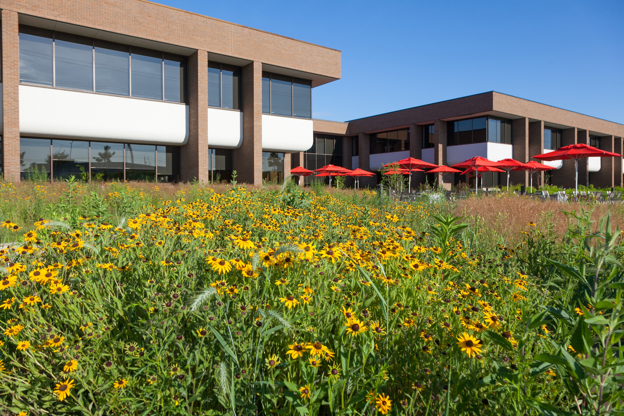 Sustainable Landscapes