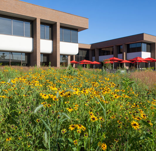 Sustainable Landscapes