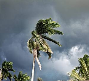 Hurricane Wind