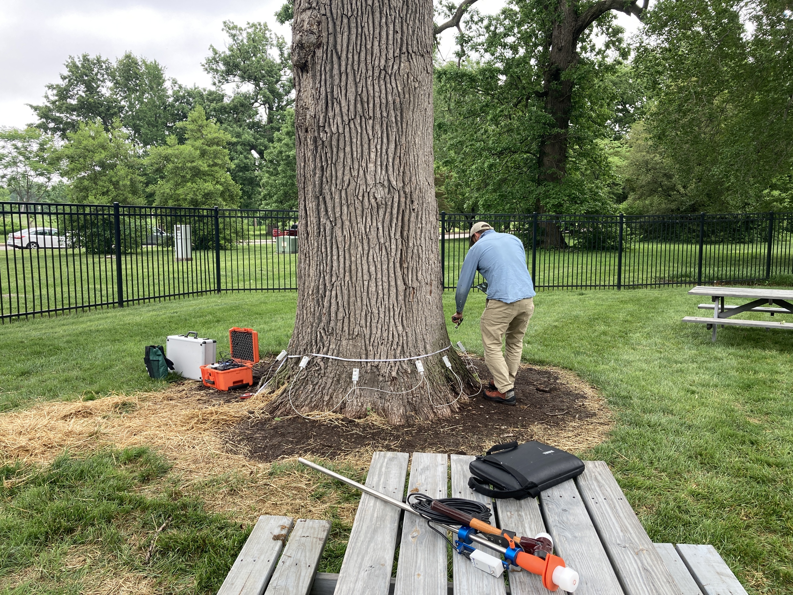 Tomography 3 (Subcontractor)