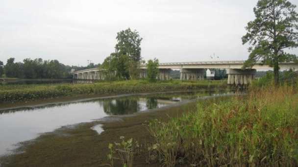 Client success Stories Southeast U.S. Based UtilityCOVID Davey Tree