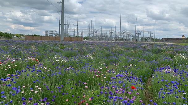 Utility Css Monarch Ccaa Sideimage4 608X341