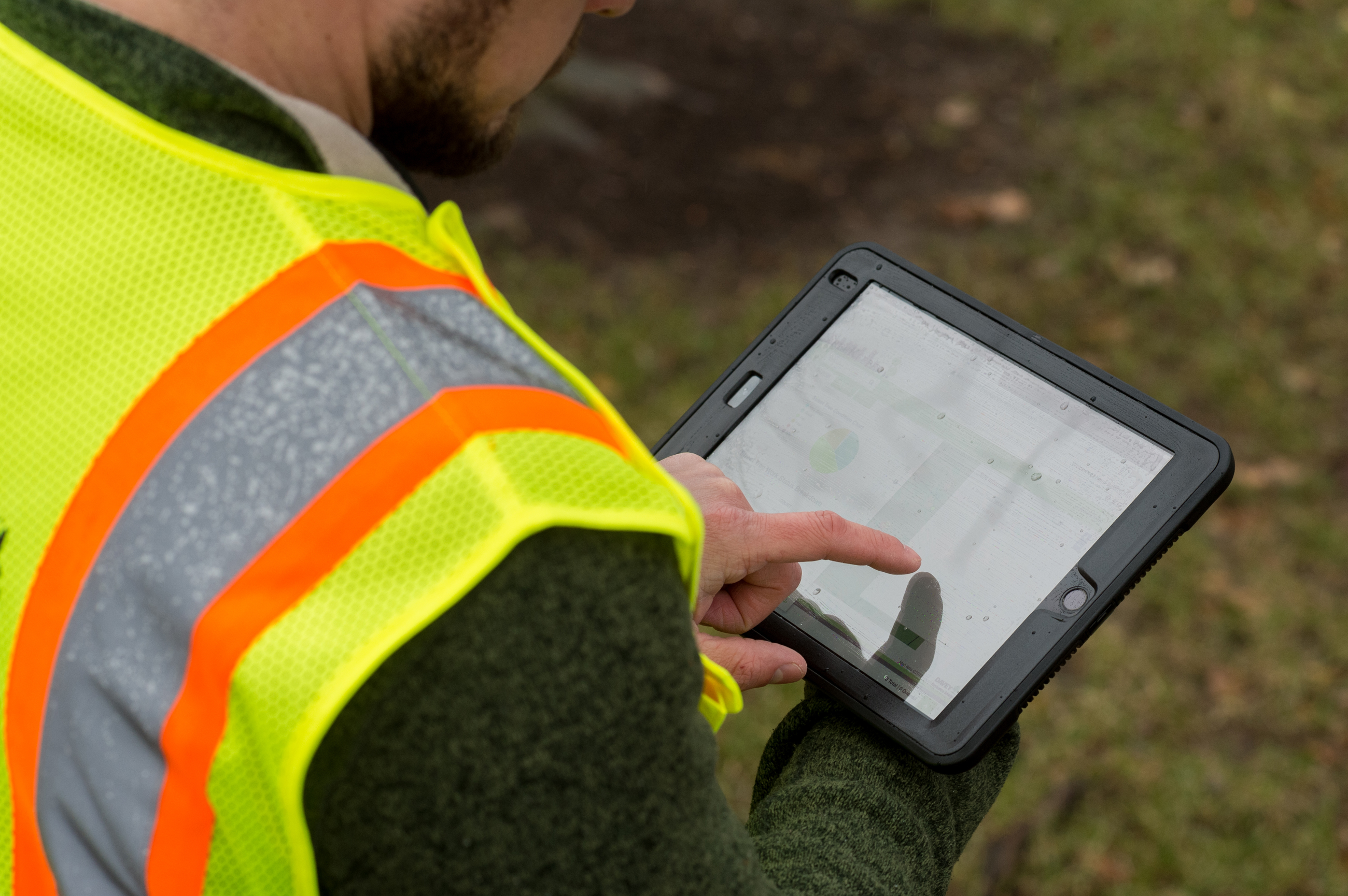 utility vegetation management software