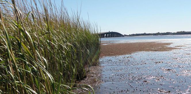 Project Profile Gsp Bridge Replacement Banner 1440X500