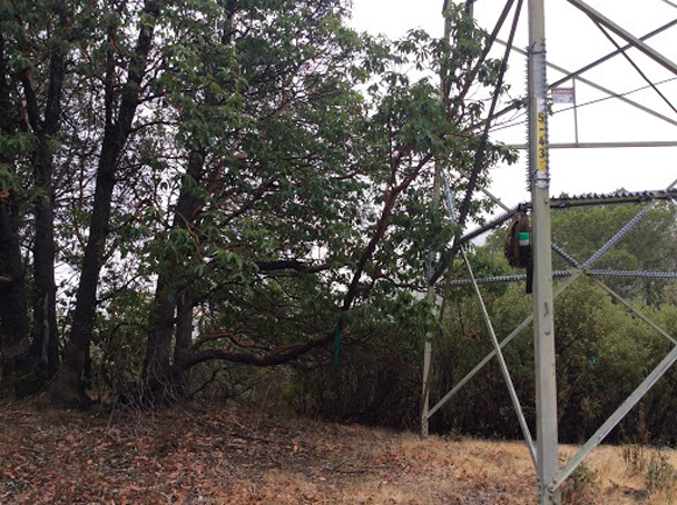 Cage Clear Sideimage