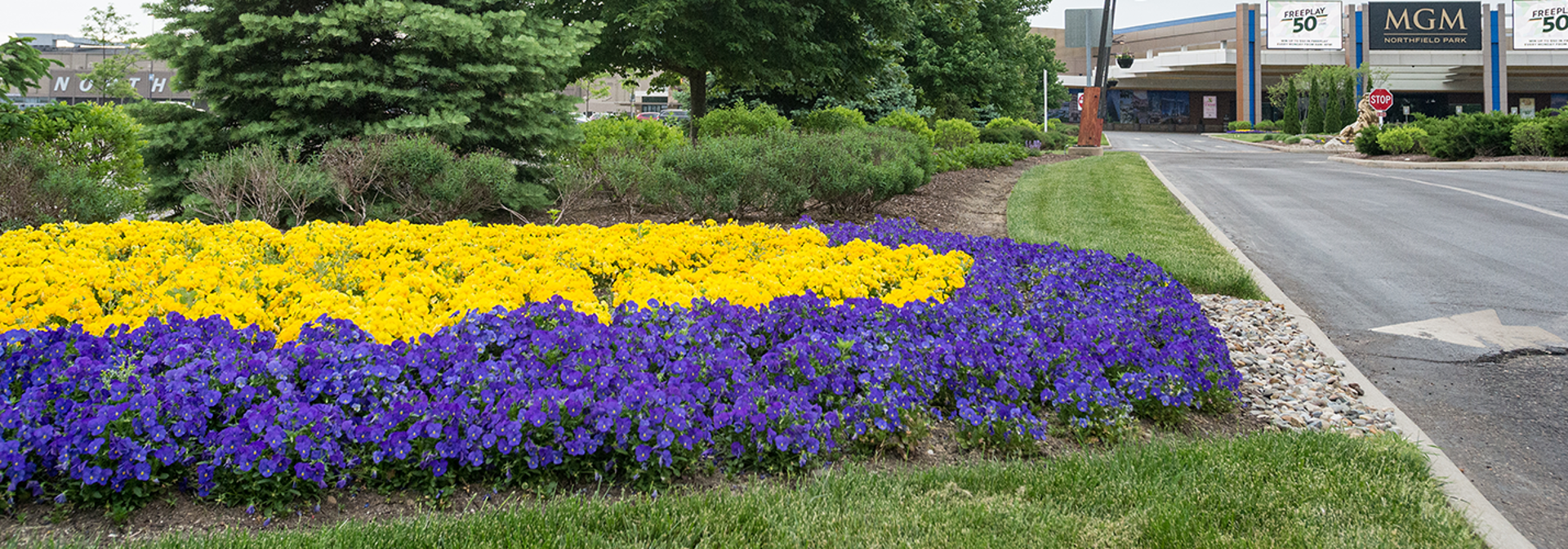 Commercial Blog Step Into Spring With Public Ready Landscapes Banner 1440X500