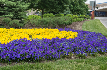 Commercial Blog Step Into Spring With Public Ready Landscapes Banner 1440X500