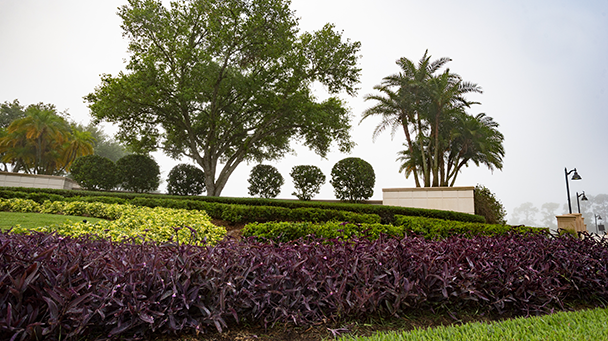 Ave Maria Sideimage2 608X341