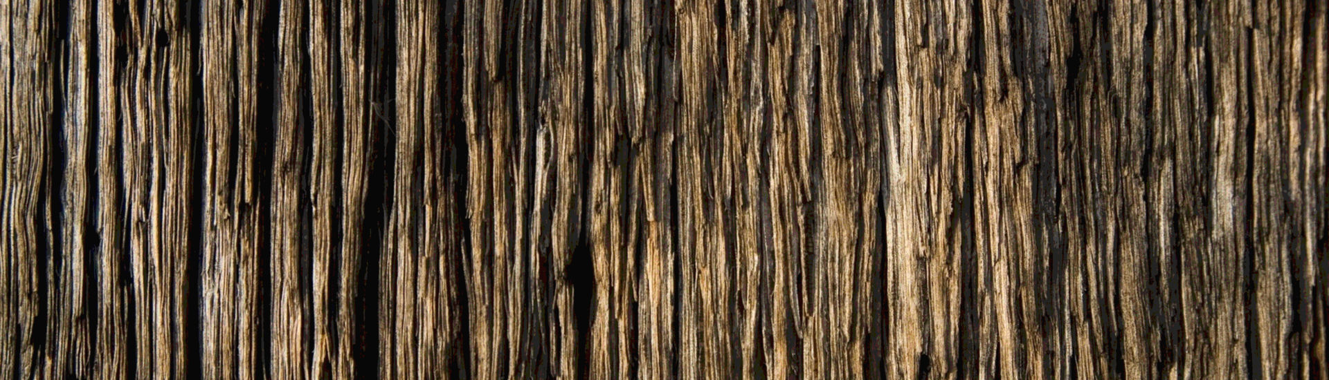 Woodgrain