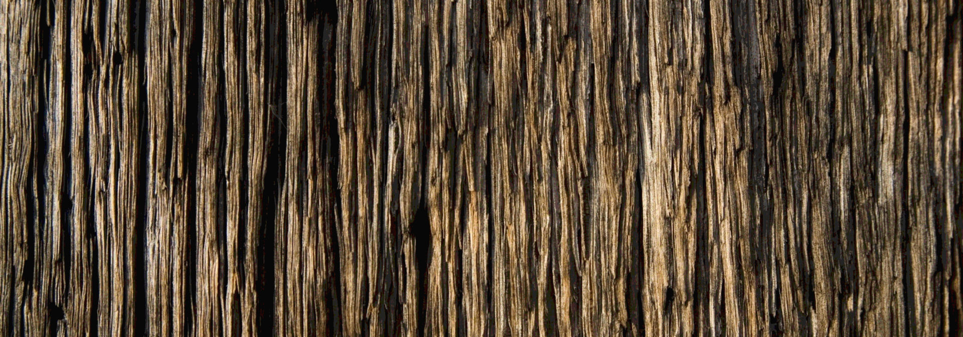 Woodgrain