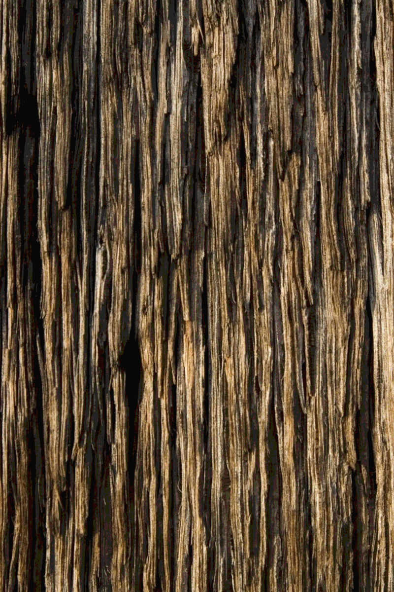 Woodgrain