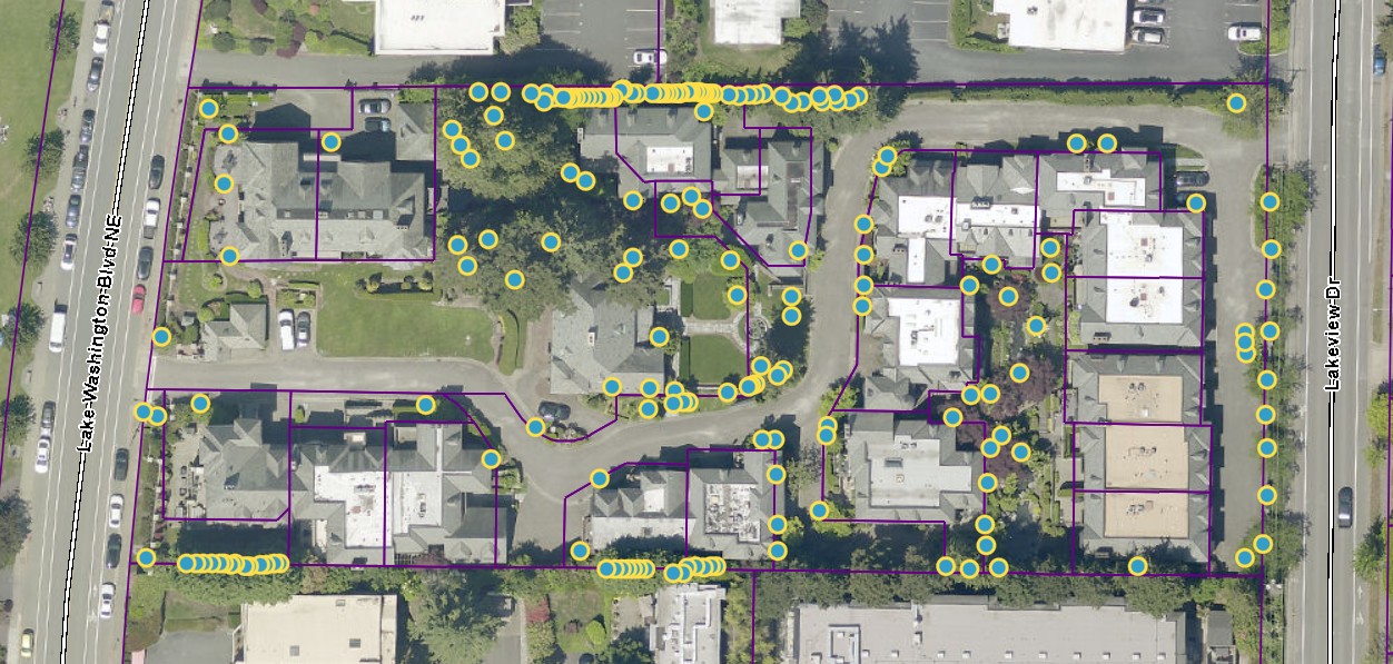 Tree Inventory Map