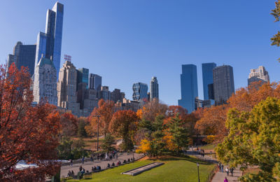 Urban Community Forestry