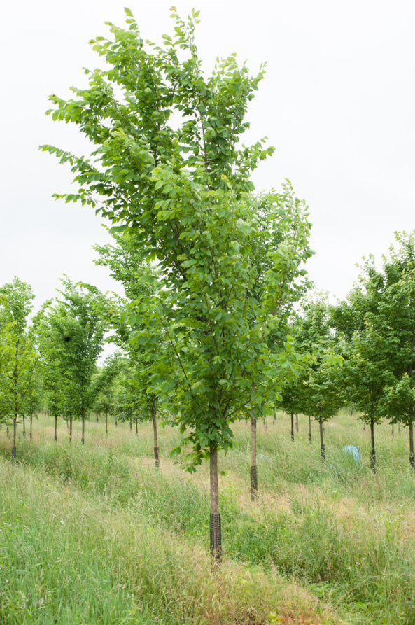 9A85badd D236 4C75 8E51 1F0ff6cf49e5