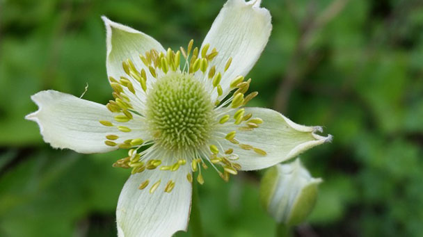 Public Service Electric Gas Sideimage2 608X341