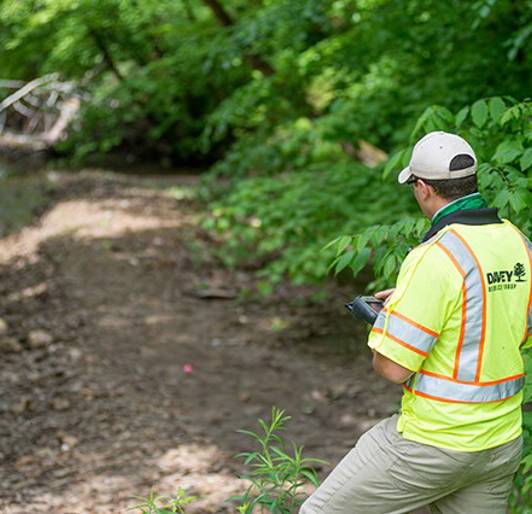 Natural Areas Plant Diversity