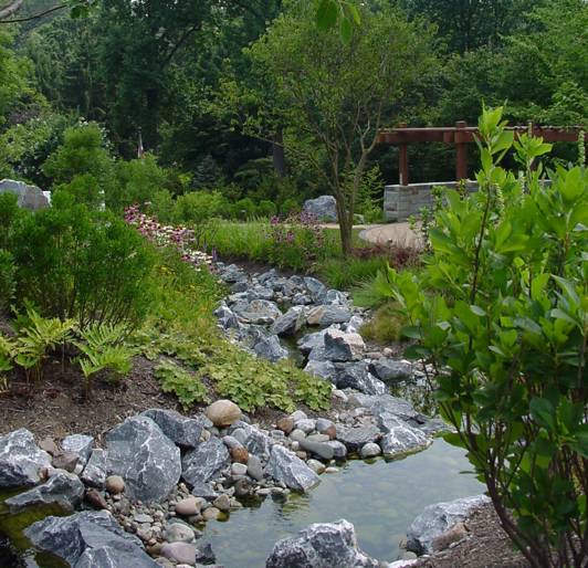 Stream And Wetland Restoration