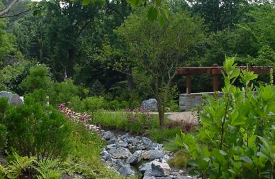 Stream And Wetland Restoration (1)