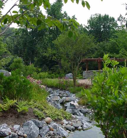Stream And Wetland Restoration (1)
