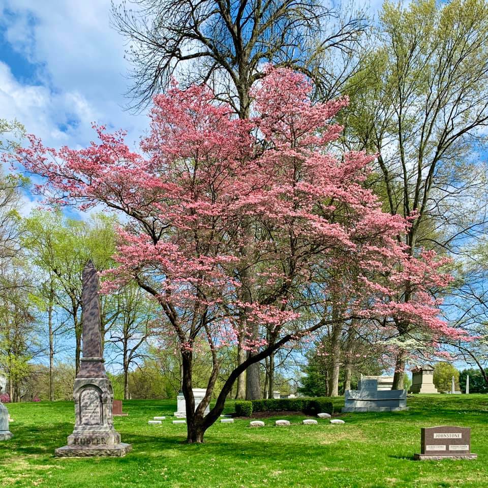 DRG Conducted An Inventory On Five Areas Of Crown Hill Cemetery